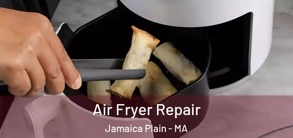  Air Fryer Repair Jamaica Plain - MA