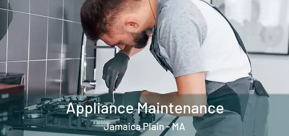 Appliance Maintenance Jamaica Plain - MA