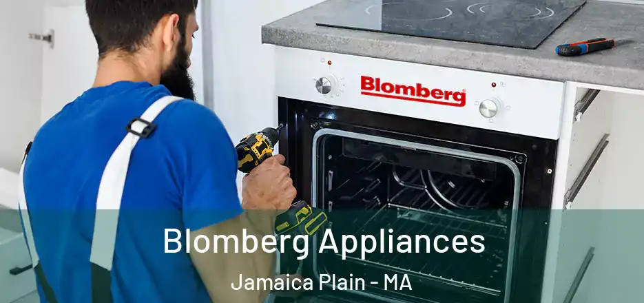 Blomberg Appliances Jamaica Plain - MA