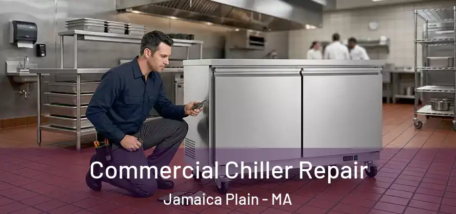 Commercial Chiller Repair Jamaica Plain - MA