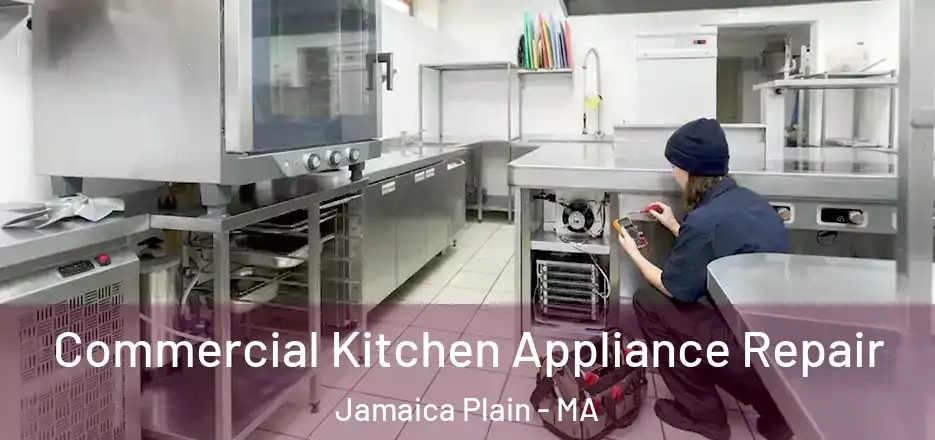  Commercial Kitchen Appliance Repair Jamaica Plain - MA