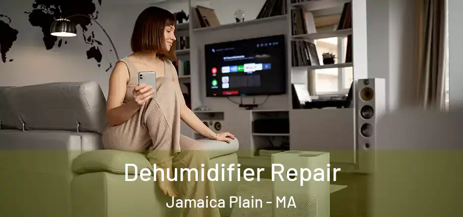 Dehumidifier Repair Jamaica Plain - MA