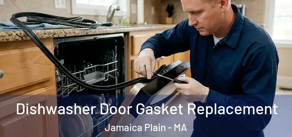 Dishwasher Door Gasket Replacement Jamaica Plain - MA
