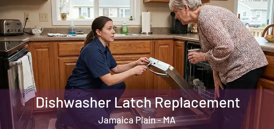 Dishwasher Latch Replacement Jamaica Plain - MA