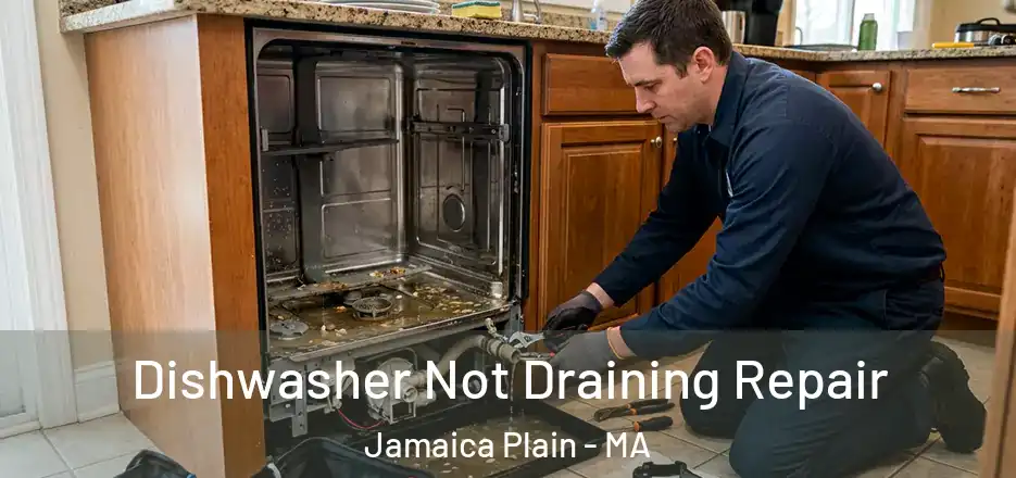  Dishwasher Not Draining Repair Jamaica Plain - MA
