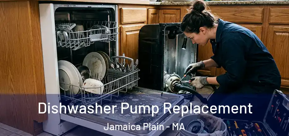 Dishwasher Pump Replacement Jamaica Plain - MA