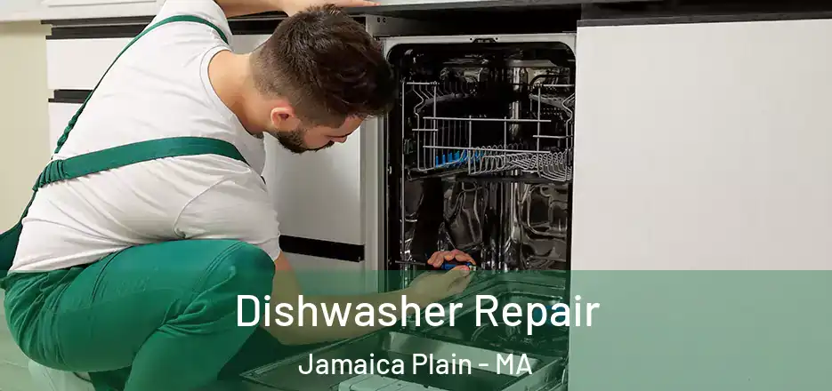 Dishwasher Repair Jamaica Plain - MA