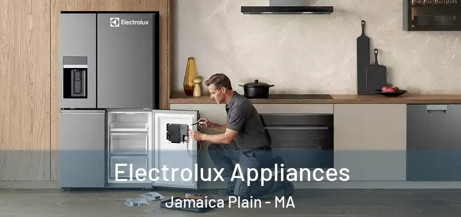Electrolux Appliances Jamaica Plain - MA