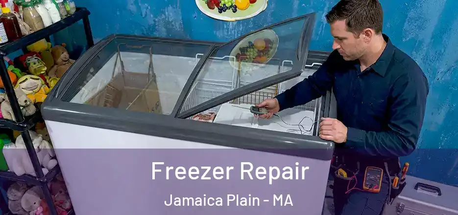 Freezer Repair Jamaica Plain - MA