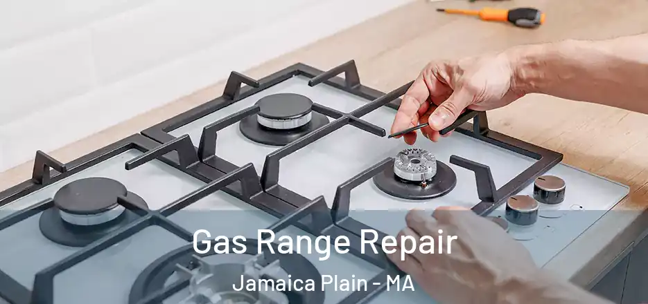Gas Range Repair Jamaica Plain - MA
