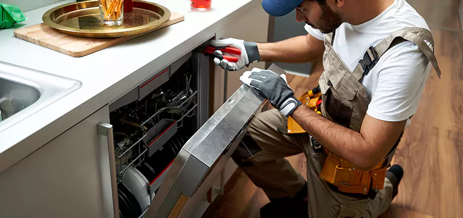 Same Day Dishwasher Not Draining Repair in Jamaica Plain
