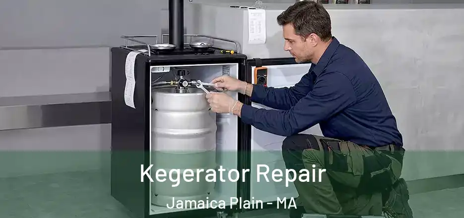  Kegerator Repair Jamaica Plain - MA