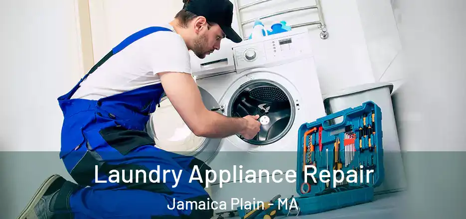  Laundry Appliance Repair Jamaica Plain - MA