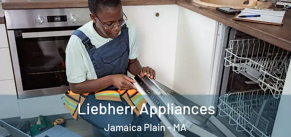 Liebherr Appliances Jamaica Plain - MA