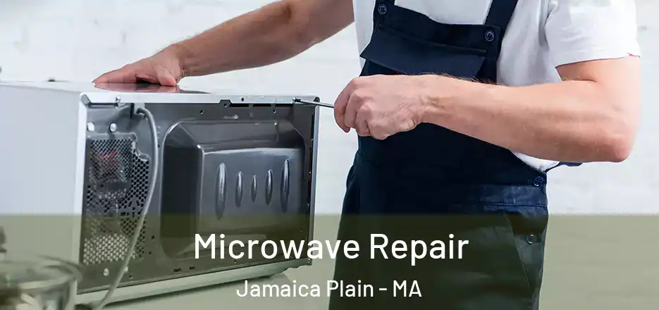  Microwave Repair Jamaica Plain - MA