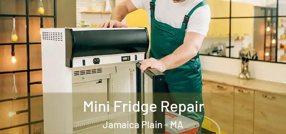  Mini Fridge Repair Jamaica Plain - MA