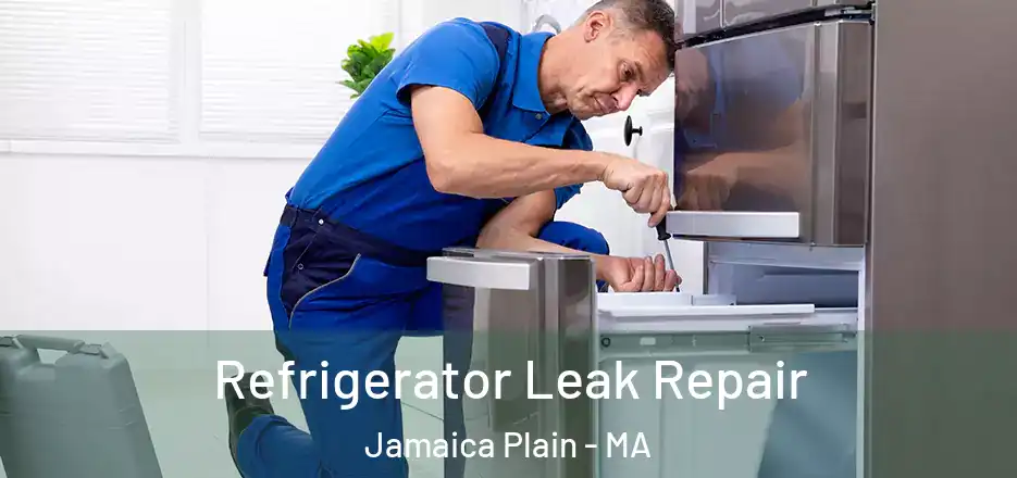  Refrigerator Leak Repair Jamaica Plain - MA