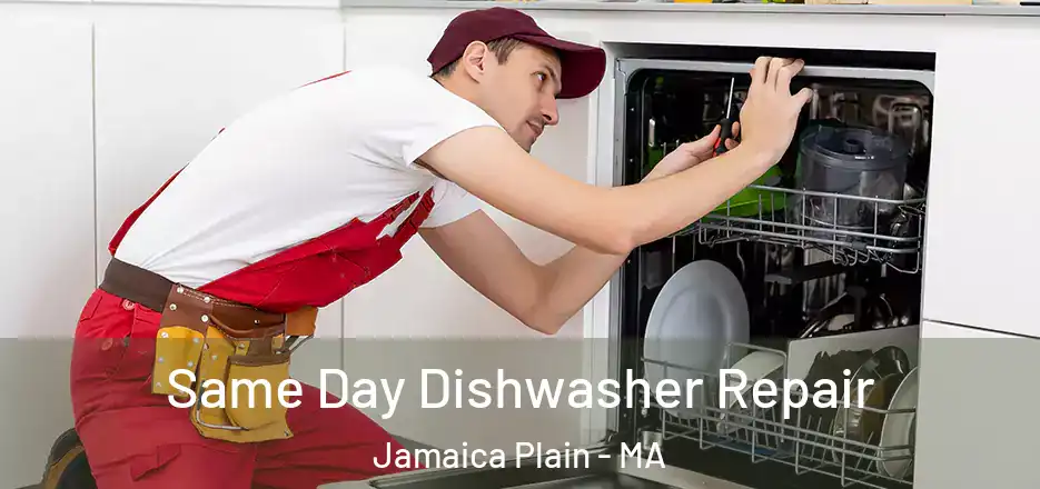  Same Day Dishwasher Repair Jamaica Plain - MA