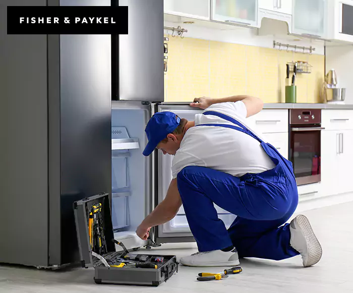 Top-Rated Fisher & Paykel Appliance Experts: Your Brand Specialist in Jamaica Plain, MA