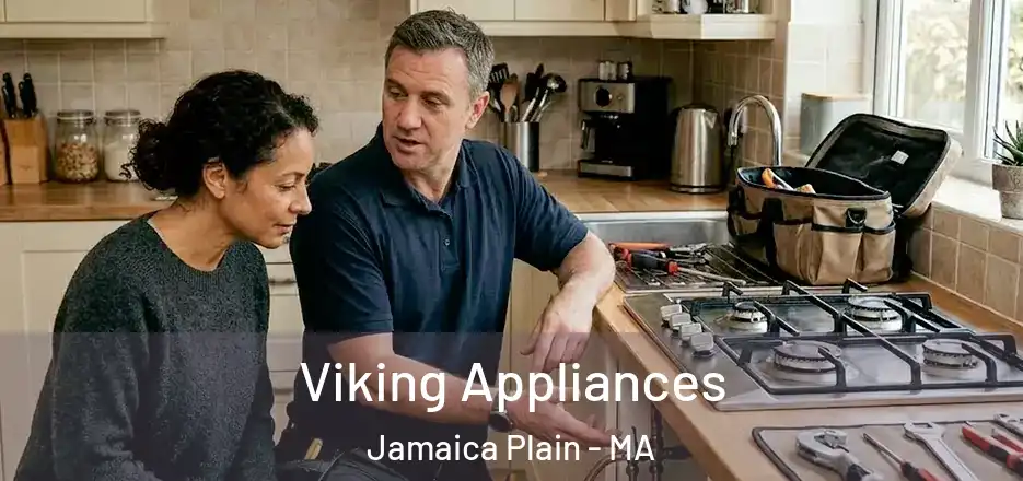 Viking Appliances Jamaica Plain - MA