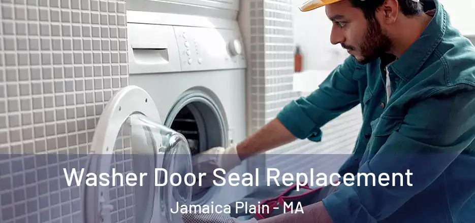  Washer Door Seal Replacement Jamaica Plain - MA